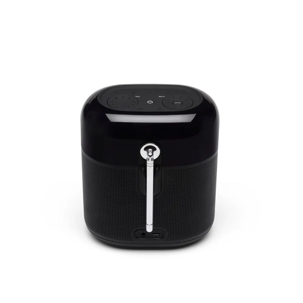 JBL Tuner XL Bluetooth-Speaker portabel with DAB/FM Radio black