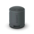 Sony SARS-XB100 - Portable Bluetooth Speaker - black