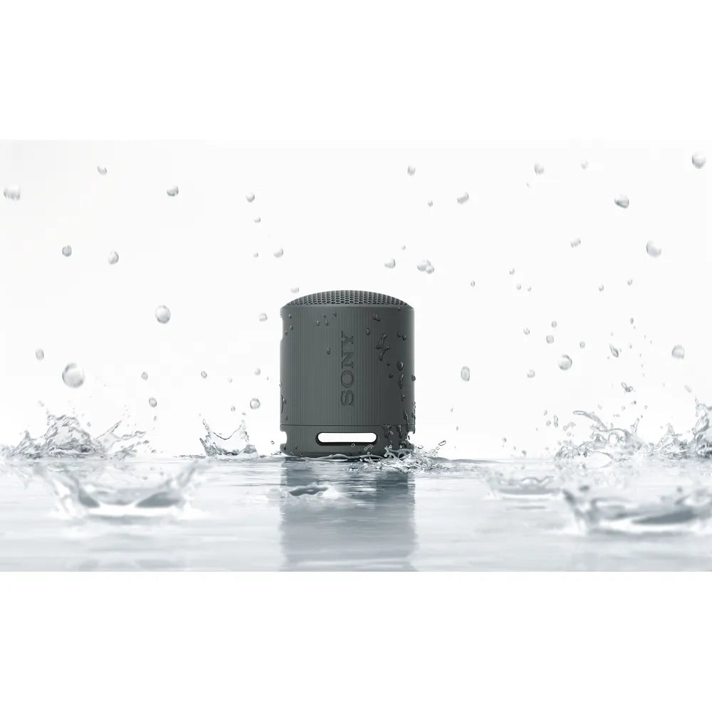 Sony SARS-XB100 - Portable Bluetooth Speaker - black