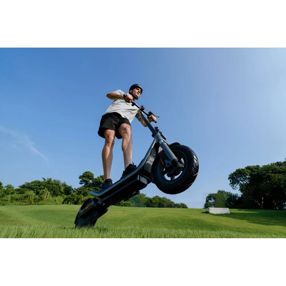 Xiaomi Electric Scooter 6 DE TP gray